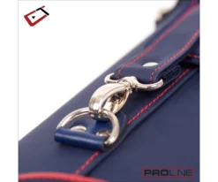 Cuetec 2x4 Navy Pro Line Pool Cue Case 19 Cuetec 2x4 Navy Pro Line Pool Cue Case -Billiard Pro Shop 23 ct pro line 2x4 navy 95 754 hardware