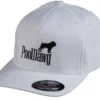 PoolDawg Logo White Baseball Hat -Billiard Pro Shop dawgcapwht 01 2